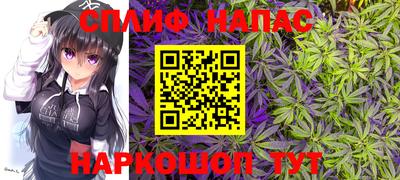 прущий лед Будённовск