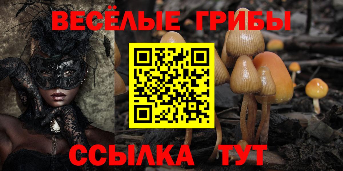 купить   Псилоцибиновые грибы Psilocybine cubensis  Вход с VPN  Уварово 