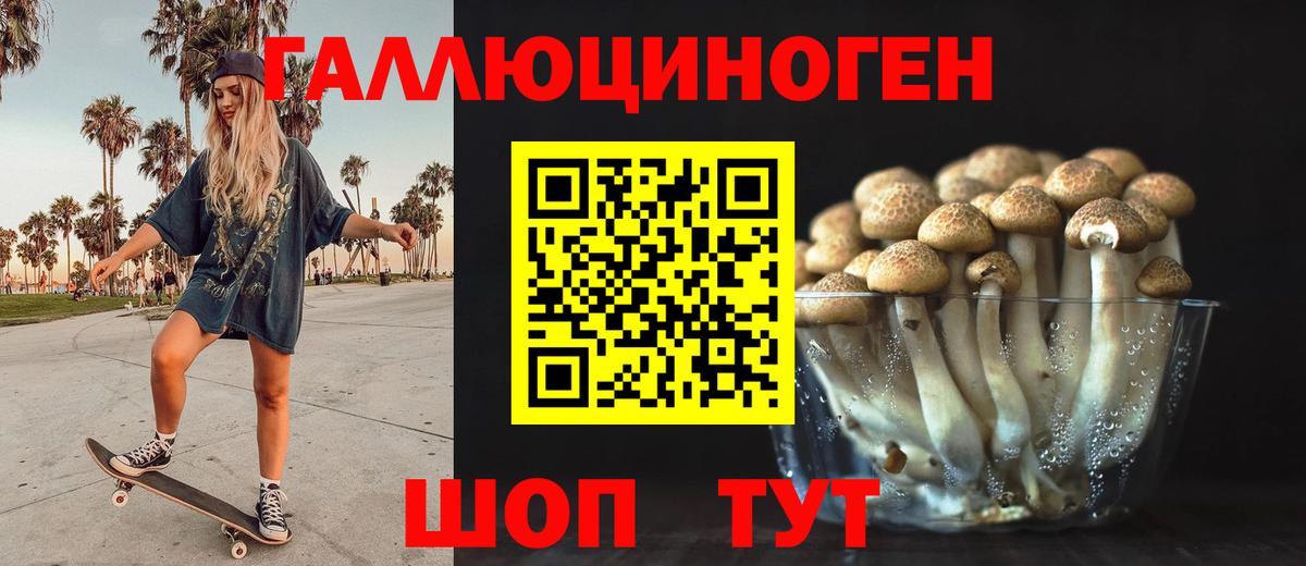 Галлюциногенные грибы Psilocybine cubensis Уварово